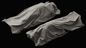 Covered Corpse 05 a 3D model