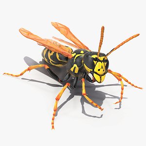 3D wasp fur rigged model