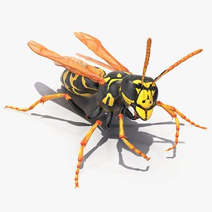 Wasp Fur Rigged