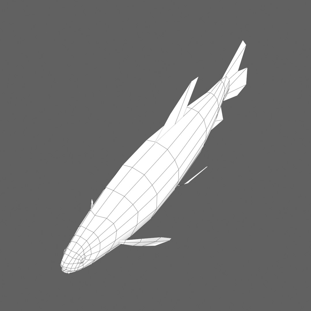 grass carp ctenopharyngodon idella max https://p.turbosquid.com/ts-thumb/8y/e6fiYU/8ug9FuWt/fishwir02/jpg/1422536665/1920x1080/fit_q87/4120720ed13e7392e8dbce5c85b8eb5f9054470c/fishwir02.jpg