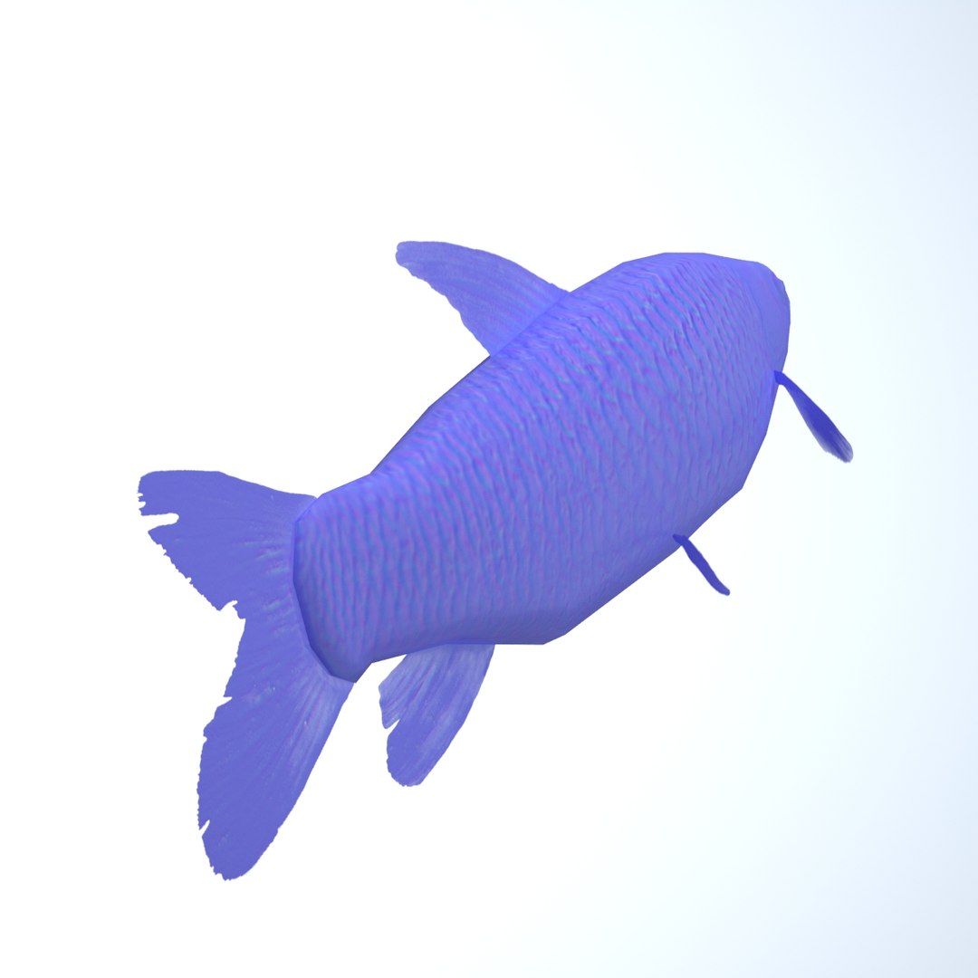 grass carp ctenopharyngodon idella max https://p.turbosquid.com/ts-thumb/8y/e6fiYU/x9NL7NZU/fish12/jpg/1422523295/1920x1080/fit_q87/70d3034a4ac3f4cd56fdd56d5c03267f02916ec0/fish12.jpg