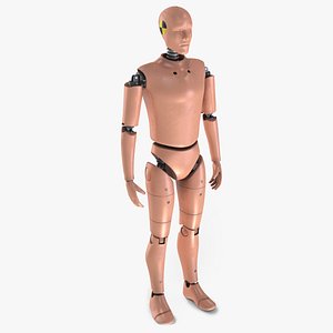 Crash Test Dummy