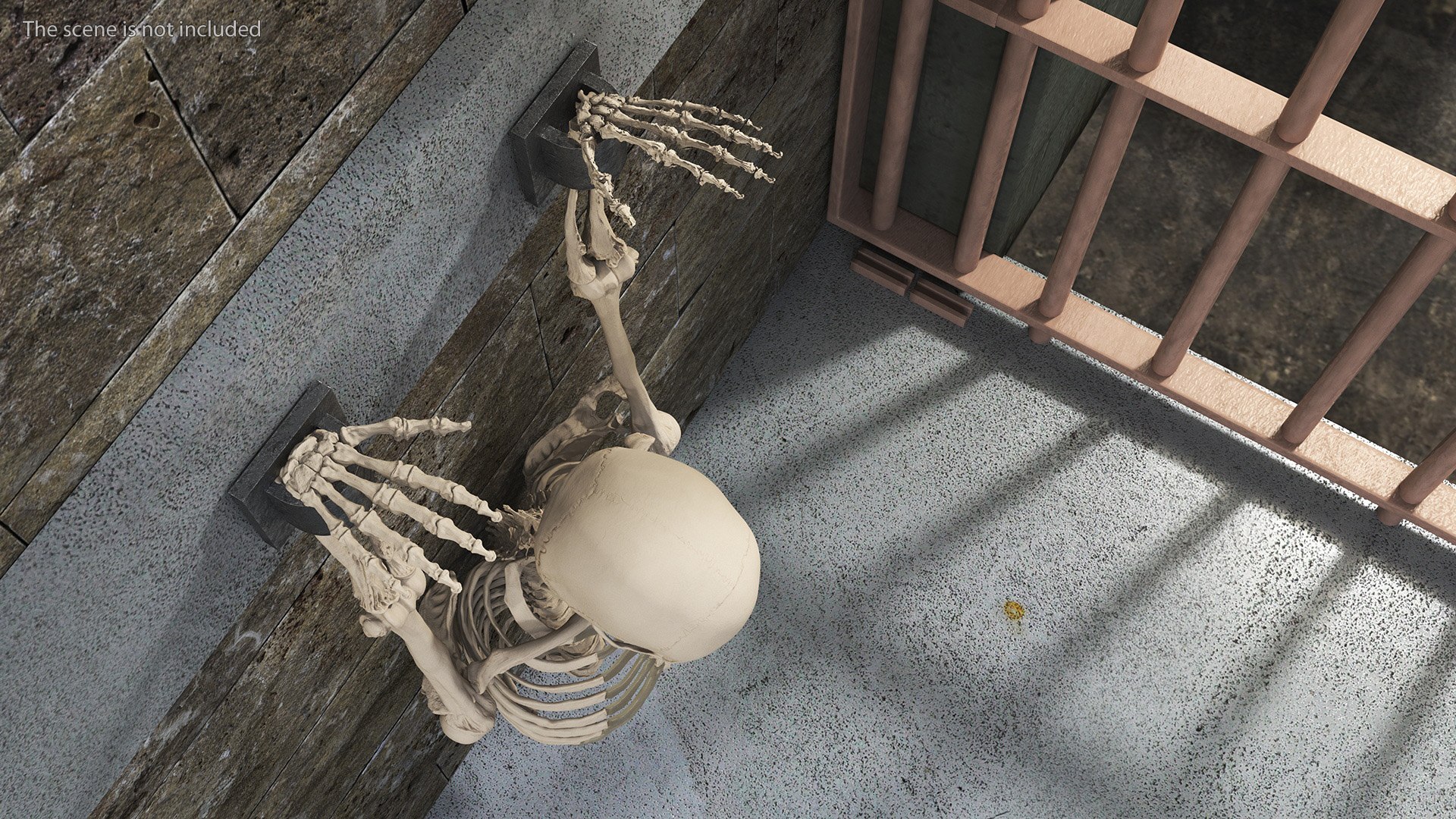 Human Male Remains Skeleton Shackled Model - TurboSquid 2113224