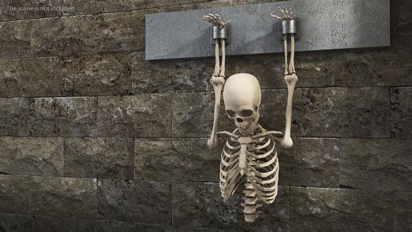 modelo 3d Hombre humano permanece esqueleto encadenado - TurboSquid 2113224