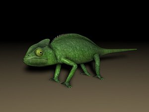 chameleon animation 3d model