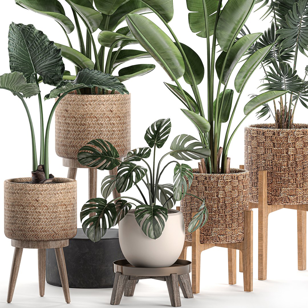 Decorative Plants Baskets 3D Model - TurboSquid 1574490