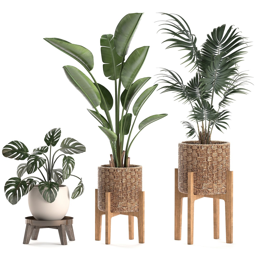 Decorative Plants Baskets 3D Model - TurboSquid 1574490