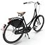 アゾールヨーロピアンシティ自転車