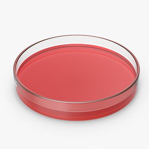3D Petri Dish With Liquid model