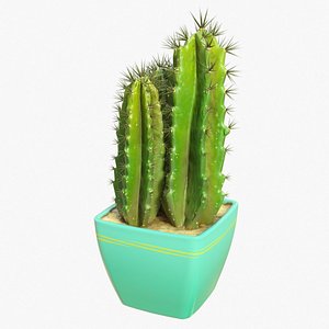 Cactus 01 model