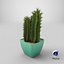 Cactus 01 model