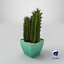 Cactus 01 model