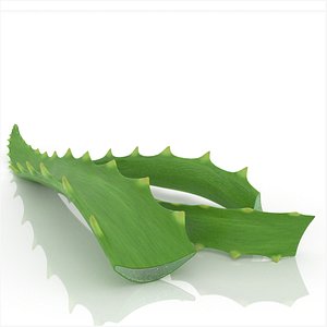 Aloe vera leaf health herb cosmetics