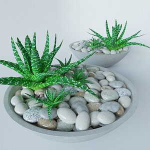 3d max succulent bowl
