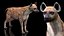 Sammlung afrikanischer Tiere 11