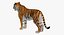 Sammlung afrikanischer Tiere 11