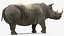 Sammlung afrikanischer Tiere 11