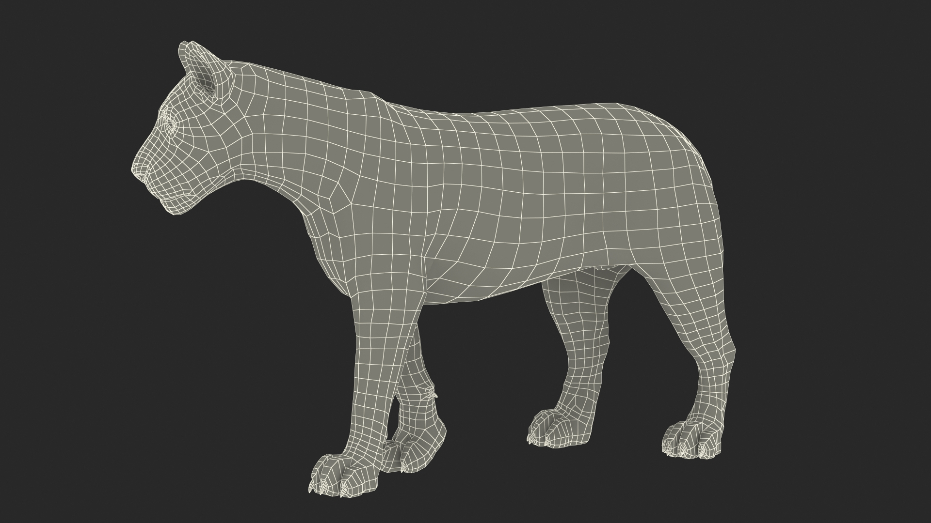 3D African Animals Collection 11 model https://p.turbosquid.com/ts-thumb/90/1il4xS/4U/white_young_lion_walking_pose_361/jpg/1662902738/1920x1080/turn_fit_q99/b3194083a22c25a65fafbbd84705d65593c7a799/white_young_lion_walking_pose_361-1.jpg