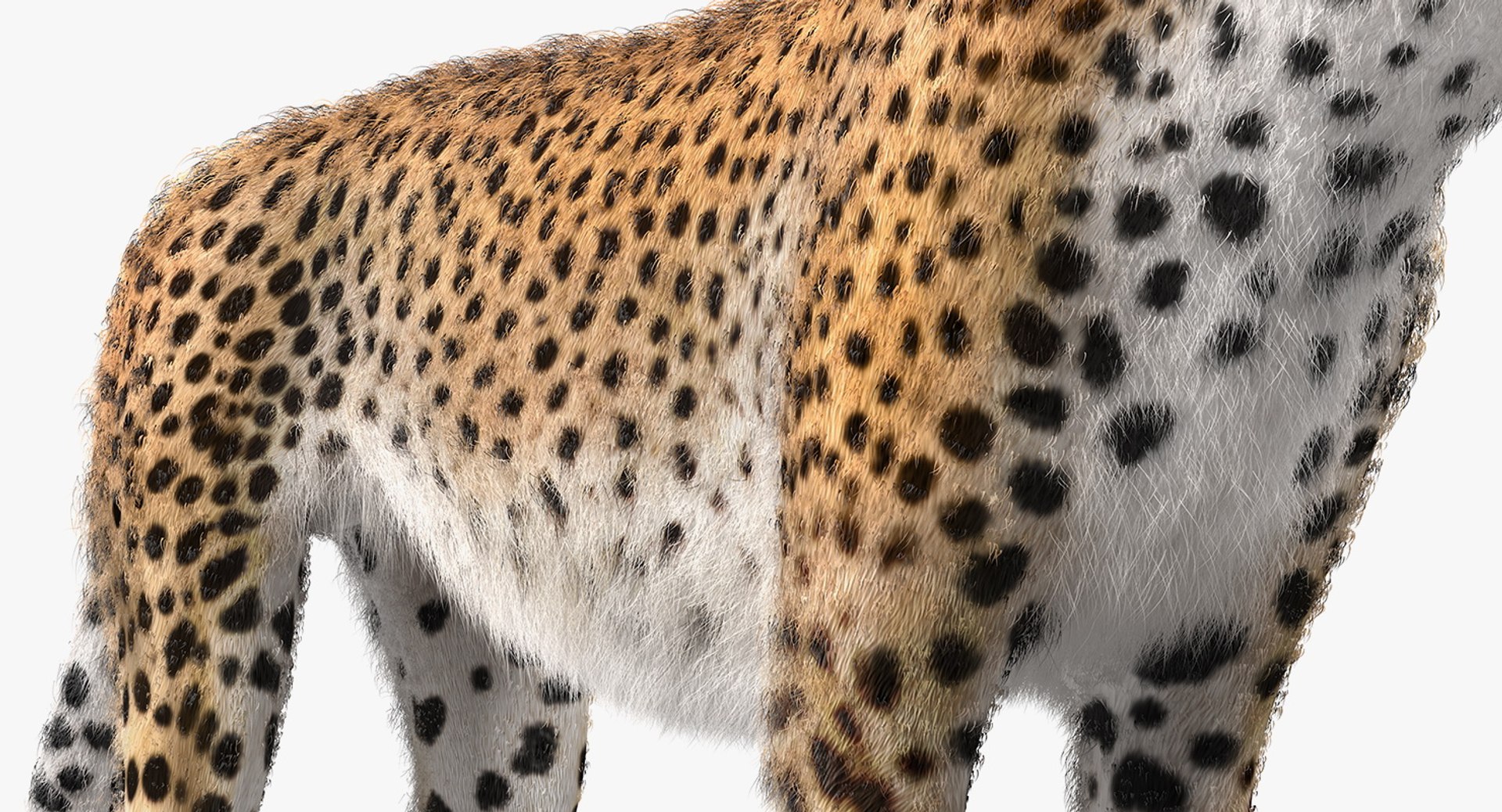 3D African Animals Collection 11 model https://p.turbosquid.com/ts-thumb/90/1il4xS/5f/africananimalscollection11mb3dmodel099/jpg/1662901880/1920x1080/fit_q87/efef766c82653fb6200a8f2cc8f21389cc0dc00d/africananimalscollection11mb3dmodel099.jpg