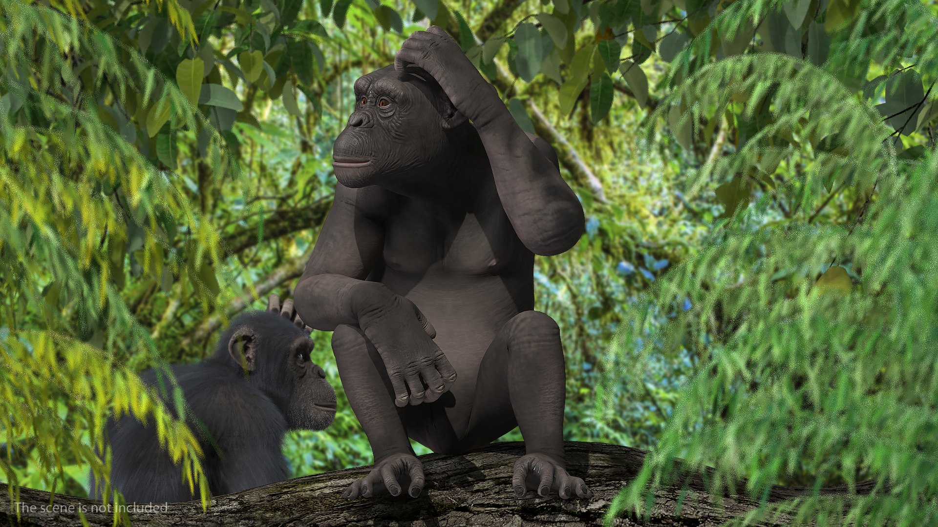 3D African Animals Collection 11 model https://p.turbosquid.com/ts-thumb/90/1il4xS/D5/africananimalscollection11mb3dmodel068/jpg/1662901763/1920x1080/fit_q87/3e4f1f02afaf1d1fd779e9a2b31eb39d03e723e8/africananimalscollection11mb3dmodel068.jpg