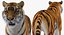 Sammlung afrikanischer Tiere 11