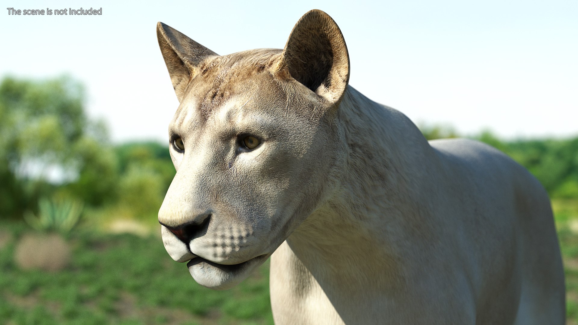 3D African Animals Collection 11 model https://p.turbosquid.com/ts-thumb/90/1il4xS/E2/africananimalscollection11mb3dmodel020/jpg/1662901574/1920x1080/fit_q87/b0c4f87b04139c4688bea1657f342ae3bba1f357/africananimalscollection11mb3dmodel020.jpg