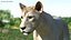 Sammlung afrikanischer Tiere 11