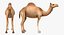 Sammlung afrikanischer Tiere 11