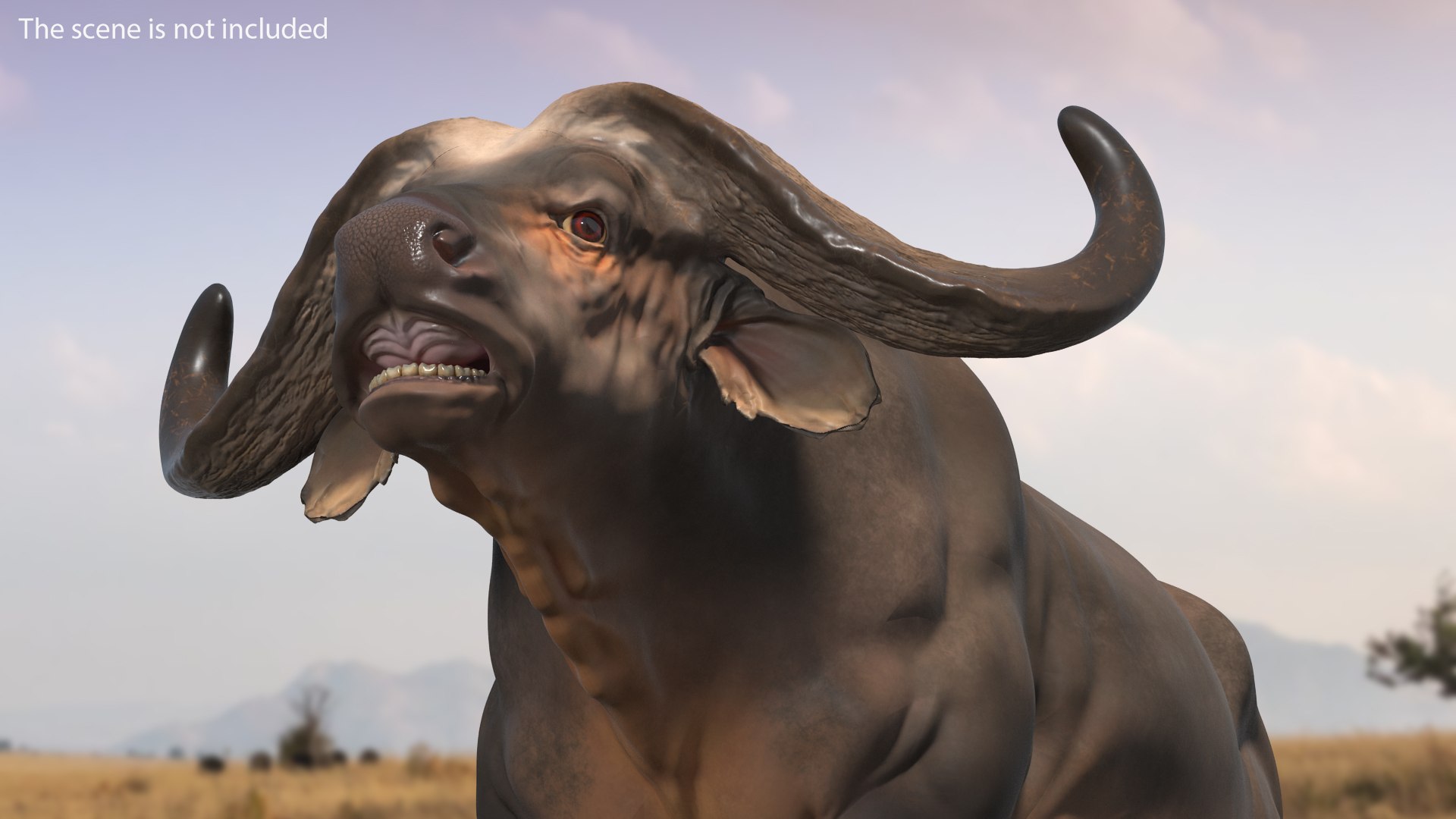 3D African Animals Collection 11 model https://p.turbosquid.com/ts-thumb/90/1il4xS/JU/africananimalscollection11mb3dmodel062/jpg/1662901738/1920x1080/fit_q87/31621fbd510e3ccb8e4d185bf086c4e2e5f225ac/africananimalscollection11mb3dmodel062.jpg