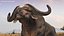 Sammlung afrikanischer Tiere 11
