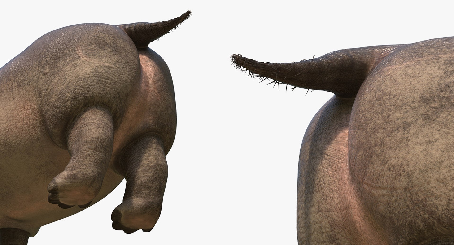 3D African Animals Collection 11 model https://p.turbosquid.com/ts-thumb/90/1il4xS/L1/africananimalscollection11mb3dmodel130/jpg/1662901989/1920x1080/fit_q87/34578a9ee1925fa474fd9b37812d191c5ebee3d9/africananimalscollection11mb3dmodel130.jpg