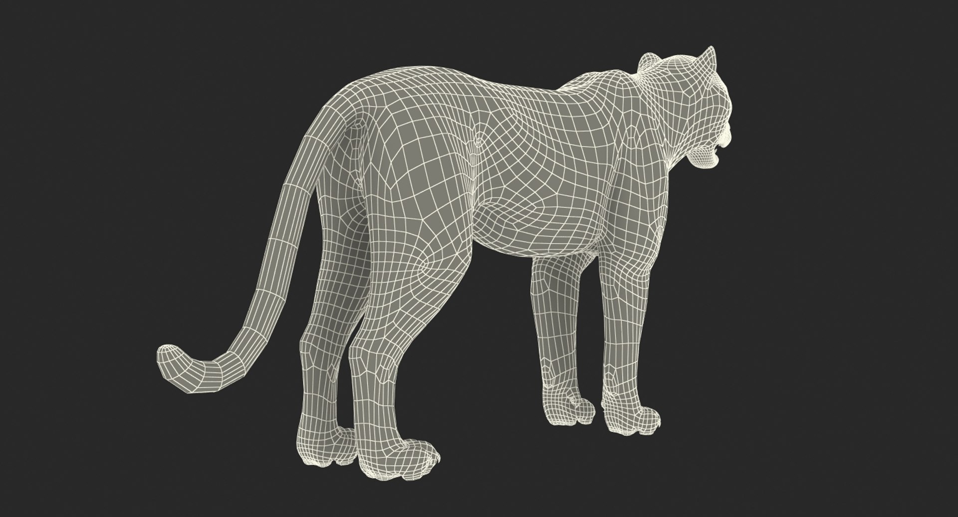 3D African Animals Collection 11 model https://p.turbosquid.com/ts-thumb/90/1il4xS/LG/africananimalscollection11mb3dmodel141/jpg/1662902028/1920x1080/fit_q87/c435de829b2109cc92c5136330dea5c2c1978950/africananimalscollection11mb3dmodel141.jpg