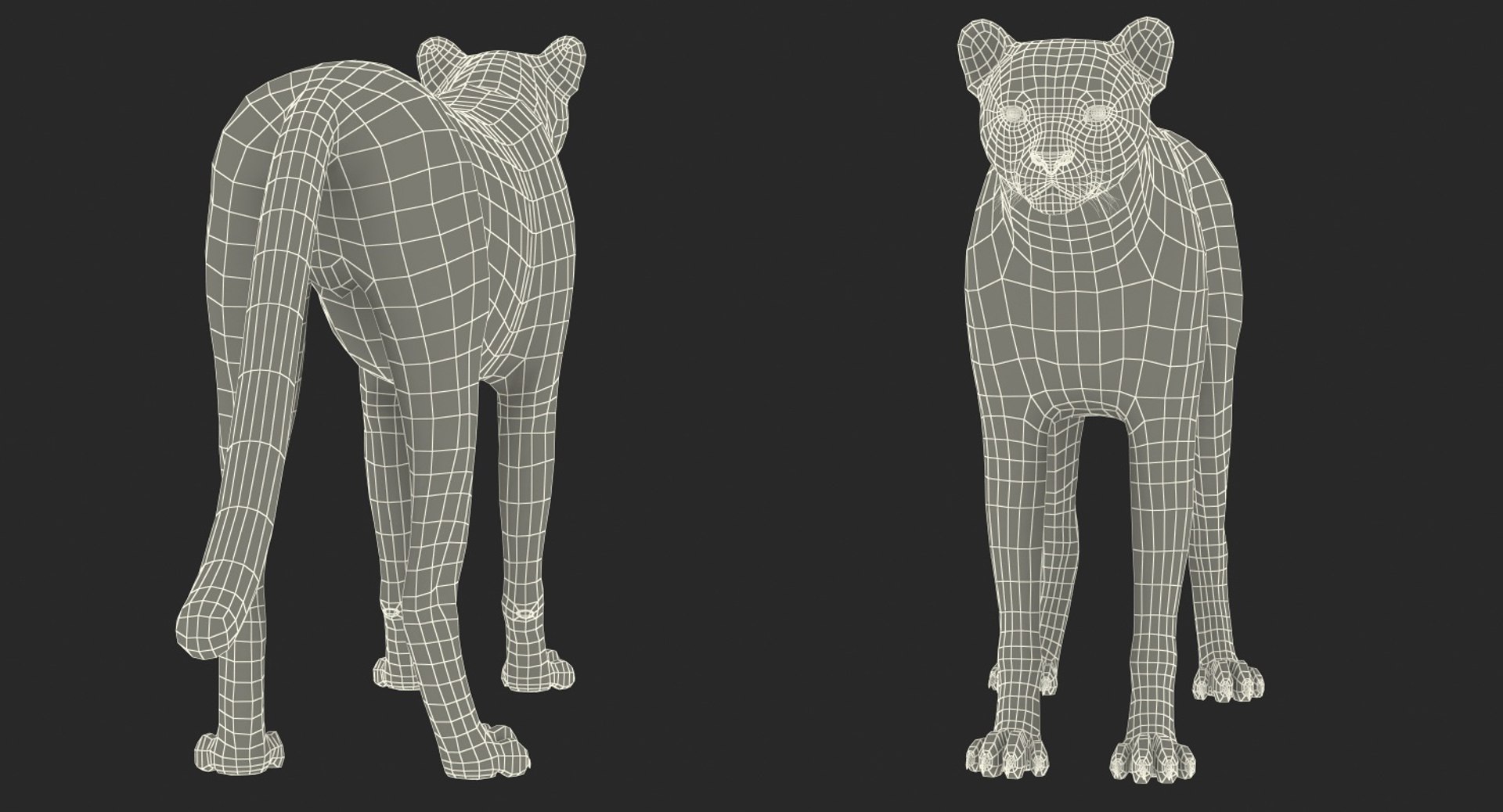 3D African Animals Collection 11 model https://p.turbosquid.com/ts-thumb/90/1il4xS/Lh/africananimalscollection11mb3dmodel140/jpg/1662902025/1920x1080/fit_q87/daa14fbaef415de13d3ccdf1a40c0c81c46ddbfb/africananimalscollection11mb3dmodel140.jpg