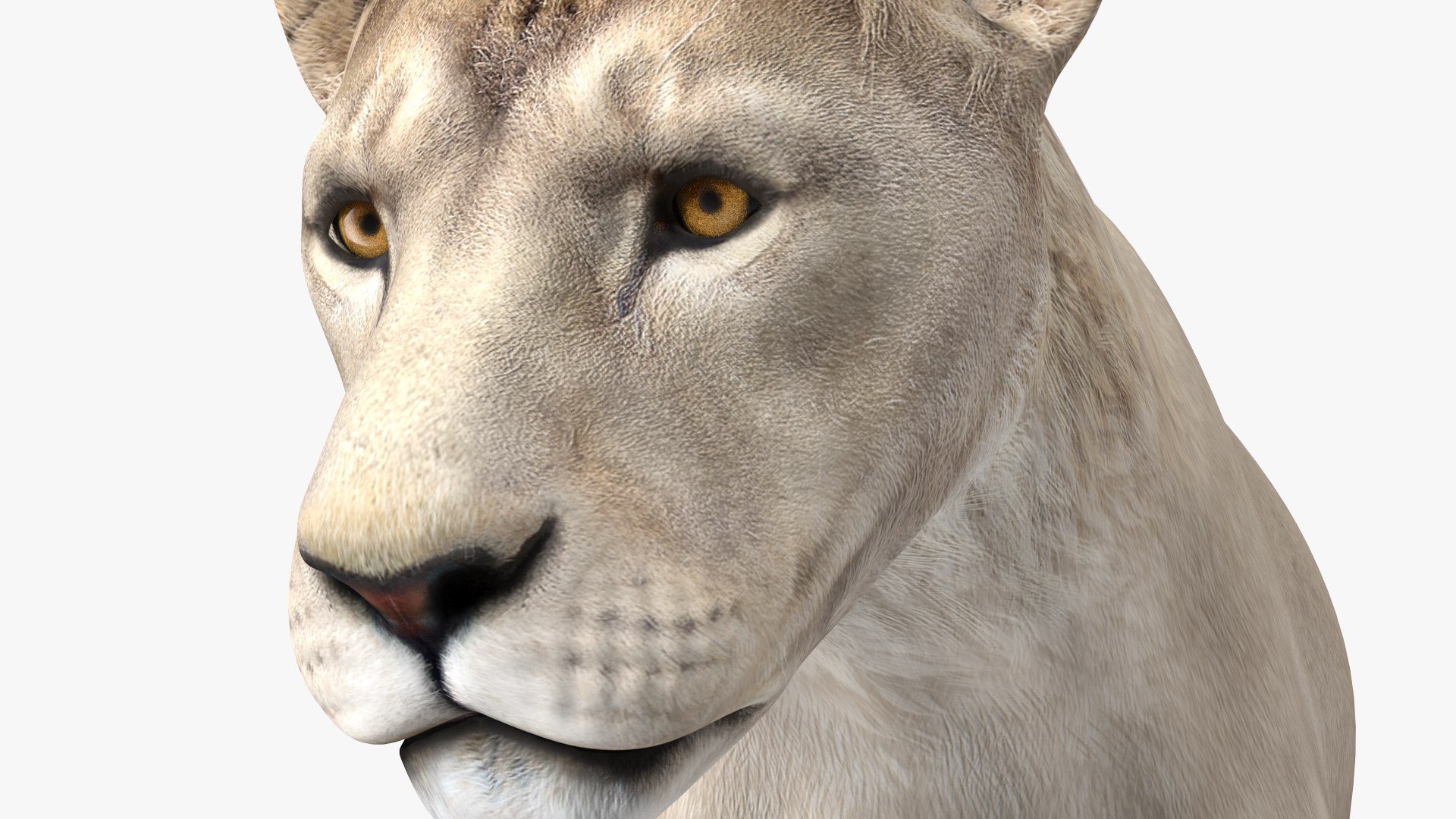 3D African Animals Collection 11 model https://p.turbosquid.com/ts-thumb/90/1il4xS/M0/africananimalscollection11mb3dmodel025/jpg/1662901592/1920x1080/fit_q87/f3dfb3d94de2066c3c1a57a9dfb76c9dd06cab60/africananimalscollection11mb3dmodel025.jpg