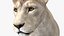 Sammlung afrikanischer Tiere 11