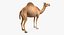 Sammlung afrikanischer Tiere 11