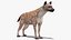 Sammlung afrikanischer Tiere 11