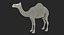 Sammlung afrikanischer Tiere 11
