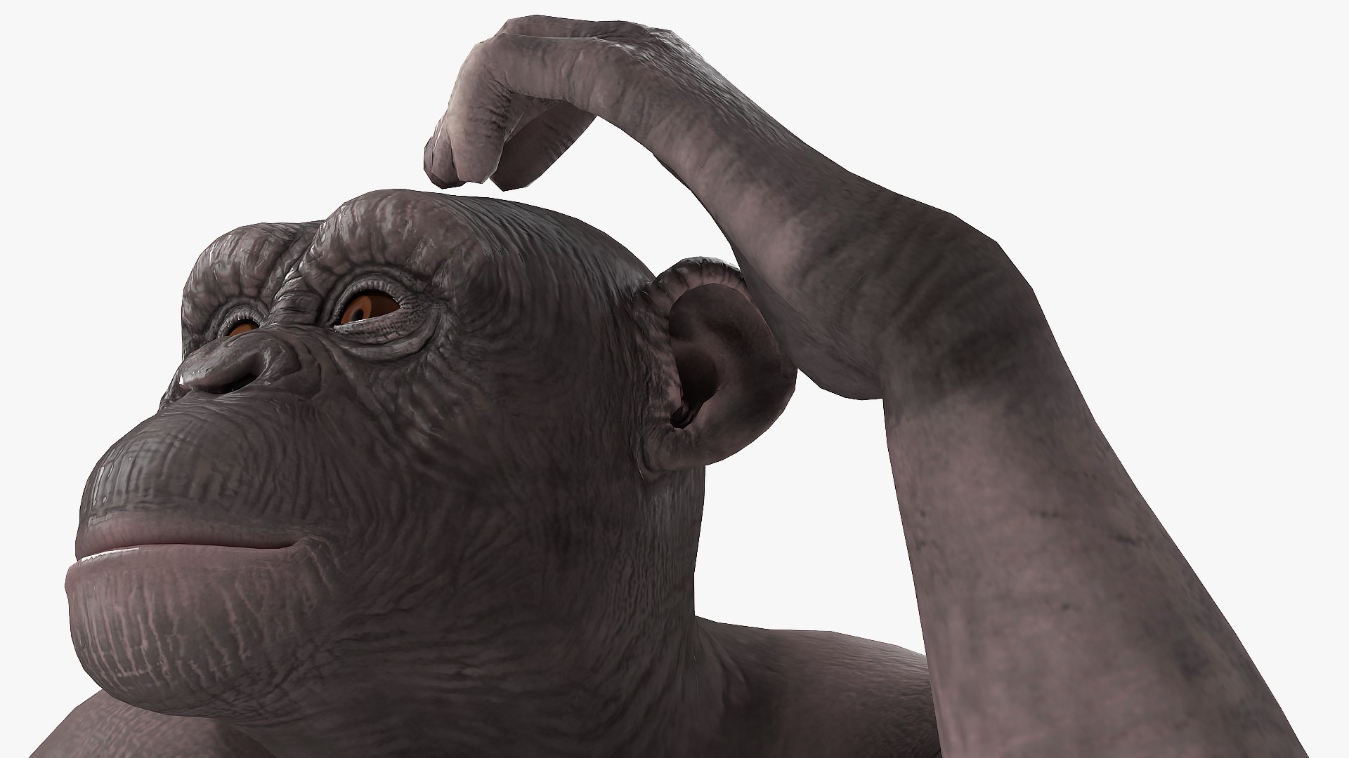 3D African Animals Collection 11 model https://p.turbosquid.com/ts-thumb/90/1il4xS/Yw/africananimalscollection11mb3dmodel073/jpg/1662901786/1920x1080/fit_q87/2fbd9998e8e4fb32179767fcfb881d123bd8730e/africananimalscollection11mb3dmodel073.jpg