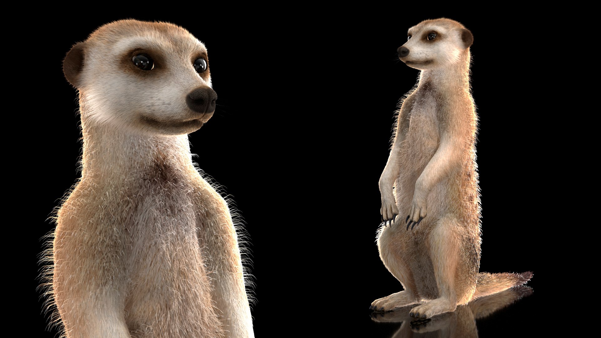 3D African Animals Collection 11 model https://p.turbosquid.com/ts-thumb/90/1il4xS/Za/africananimalscollection11mb3dmodel007/jpg/1662901526/1920x1080/fit_q87/c34890effe5b08174669a9c5976654840ce215ca/africananimalscollection11mb3dmodel007.jpg