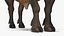 Sammlung afrikanischer Tiere 11