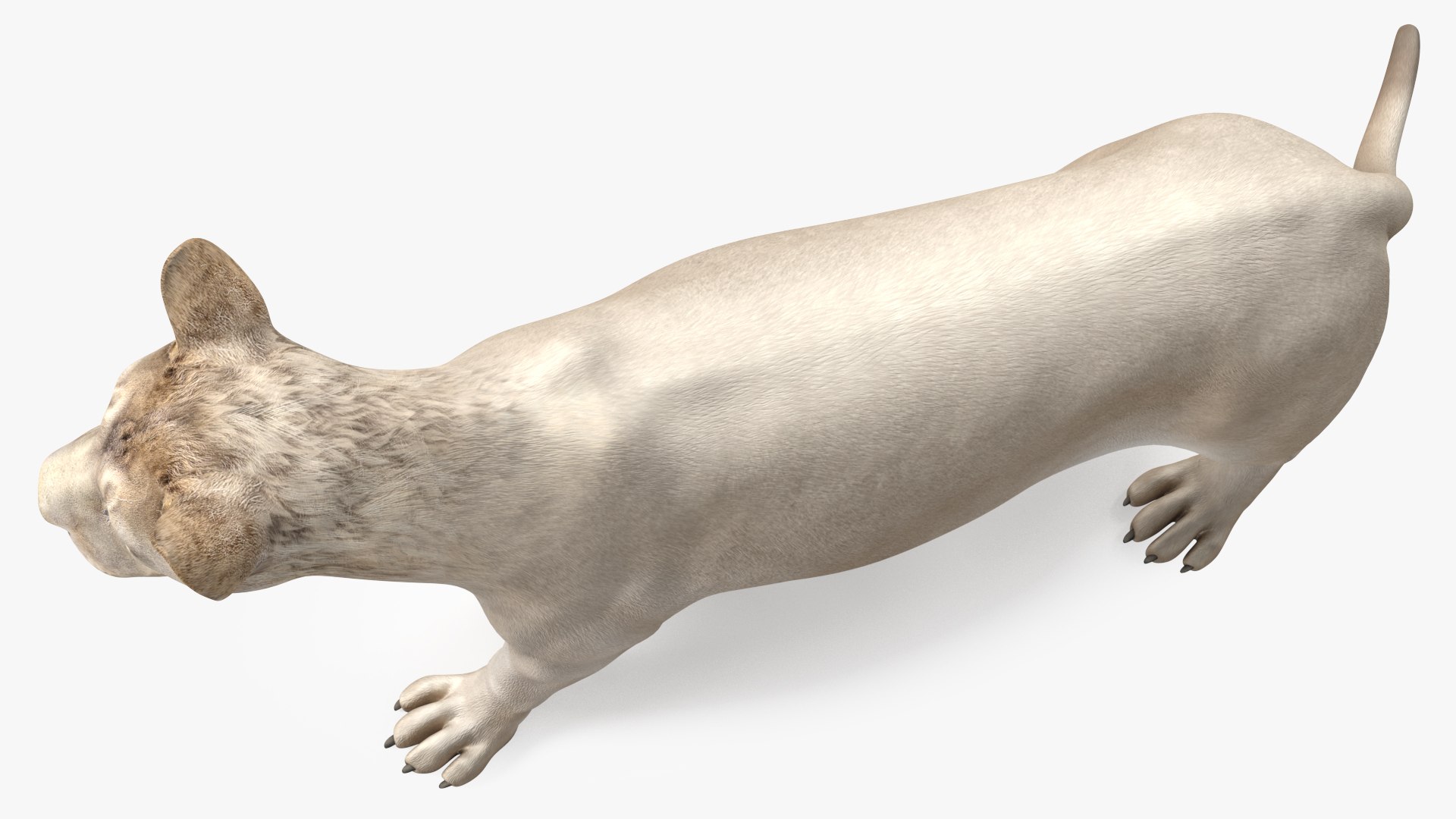 3D African Animals Collection 11 model https://p.turbosquid.com/ts-thumb/90/1il4xS/aE/africananimalscollection11mb3dmodel028/jpg/1662901603/1920x1080/fit_q87/fa2472a669644d22094c69a2192dc7ae6ffa6376/africananimalscollection11mb3dmodel028.jpg