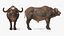 Sammlung afrikanischer Tiere 11