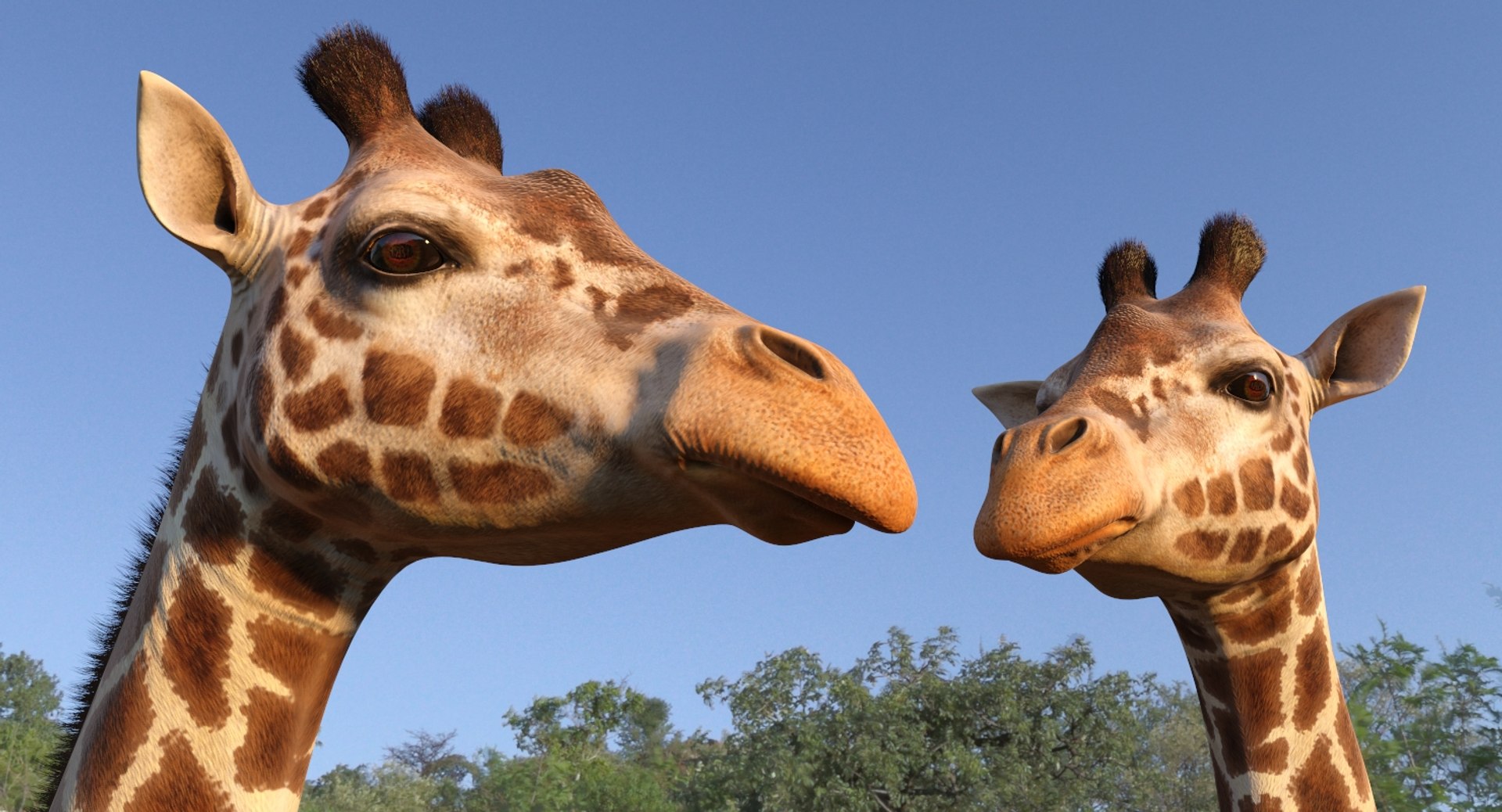 3D African Animals Collection 11 model https://p.turbosquid.com/ts-thumb/90/1il4xS/c0/africananimalscollection11mb3dmodel087/jpg/1662901839/1920x1080/fit_q87/312e44626039d40a3e9122290e8812d6fc89db25/africananimalscollection11mb3dmodel087.jpg