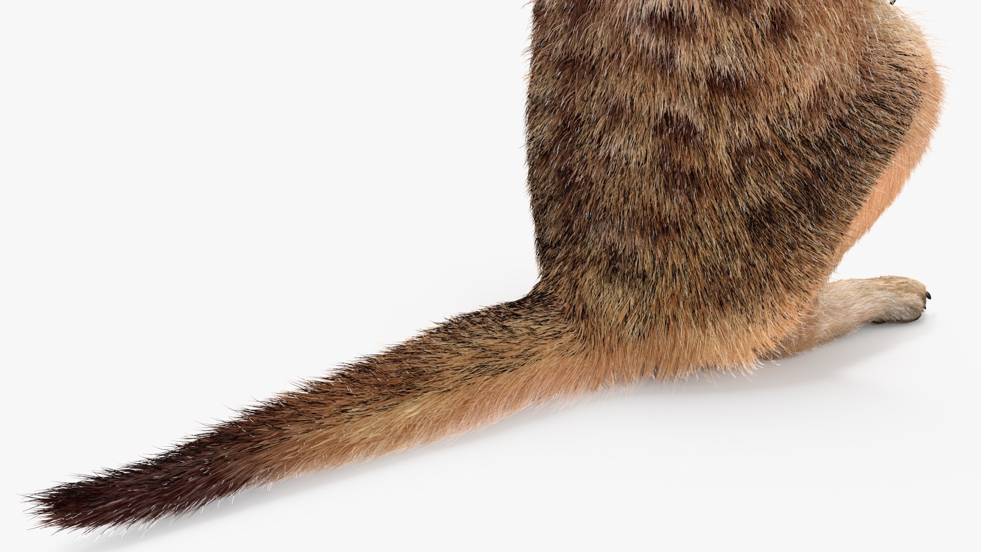 3D African Animals Collection 11 model https://p.turbosquid.com/ts-thumb/90/1il4xS/g2/africananimalscollection11mb3dmodel015/jpg/1662901556/1920x1080/fit_q87/2296753c34f47e26699b3d94d0626d5b9f0a3f79/africananimalscollection11mb3dmodel015.jpg