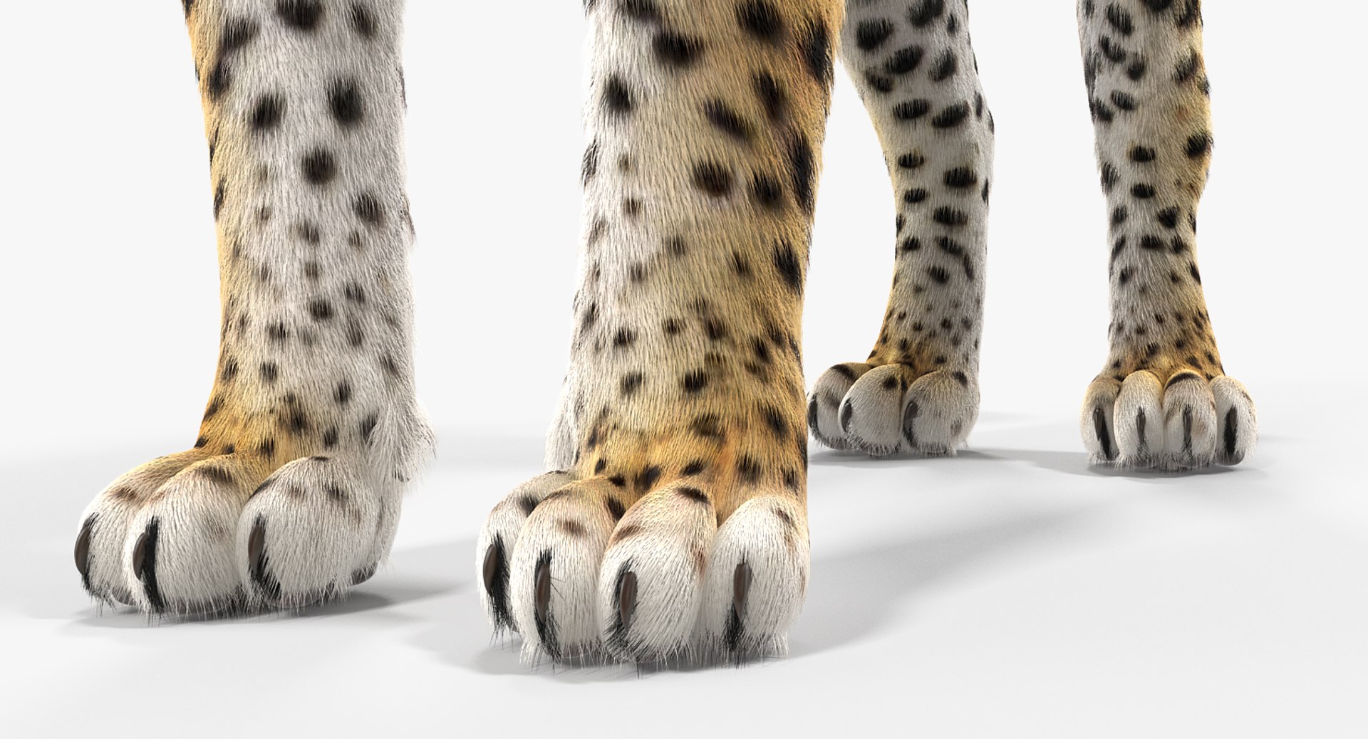 3D African Animals Collection 11 model https://p.turbosquid.com/ts-thumb/90/1il4xS/gz/africananimalscollection11mb3dmodel106/jpg/1662901905/1920x1080/fit_q87/d53341668e8d16282424e9b7306671035c1e7898/africananimalscollection11mb3dmodel106.jpg