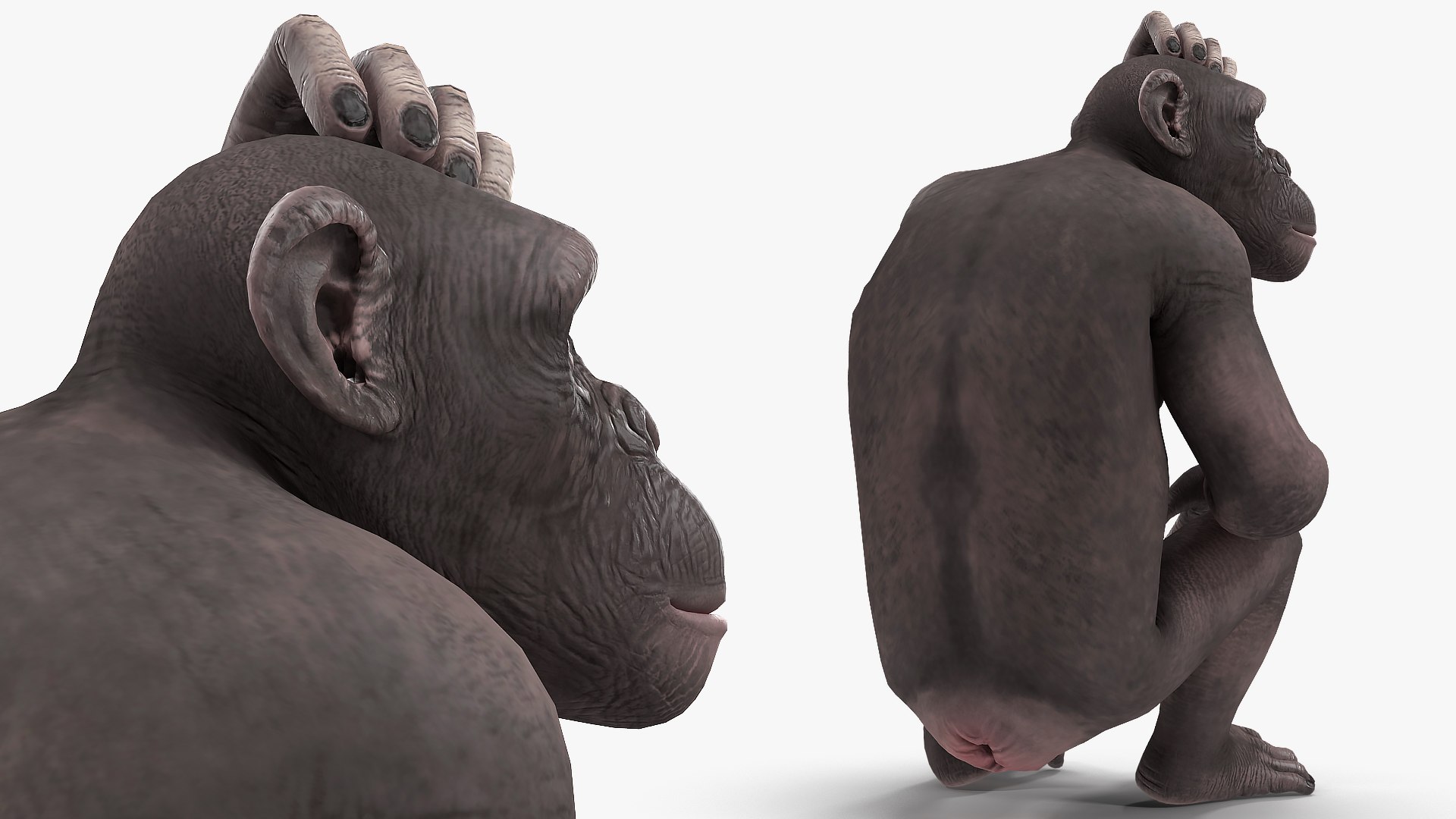 3D African Animals Collection 11 model https://p.turbosquid.com/ts-thumb/90/1il4xS/hi/africananimalscollection11mb3dmodel071/jpg/1662901778/1920x1080/fit_q87/b31d0ab36b88aec1105385fdc47df277e3a3a25c/africananimalscollection11mb3dmodel071.jpg