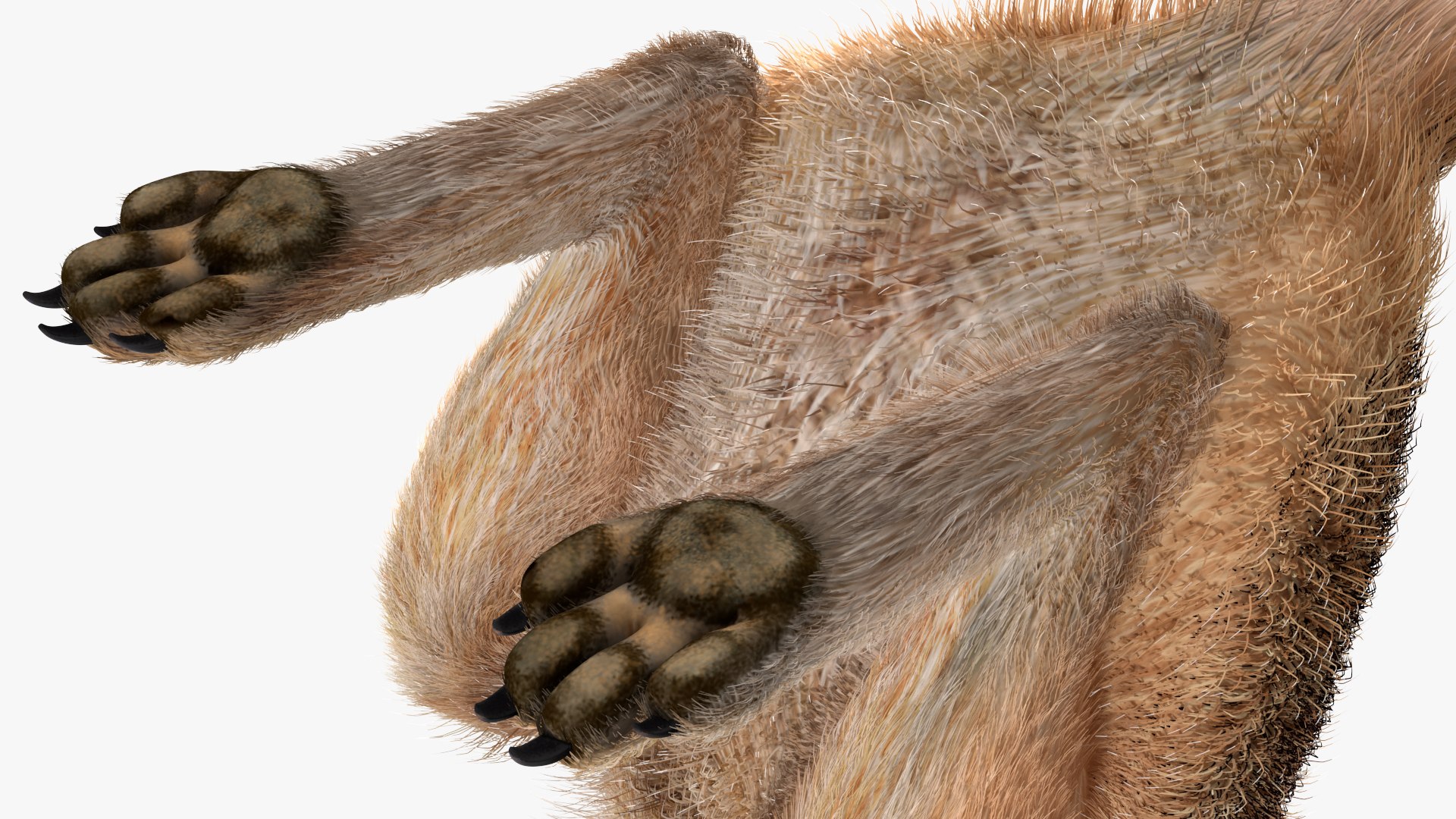 3D African Animals Collection 11 model https://p.turbosquid.com/ts-thumb/90/1il4xS/i1/africananimalscollection11mb3dmodel012/jpg/1662901545/1920x1080/fit_q87/8ec5a66224b1c156b3f03b0cb44e9ed343d9c042/africananimalscollection11mb3dmodel012.jpg