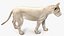 Sammlung afrikanischer Tiere 11