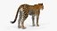 Sammlung afrikanischer Tiere 11